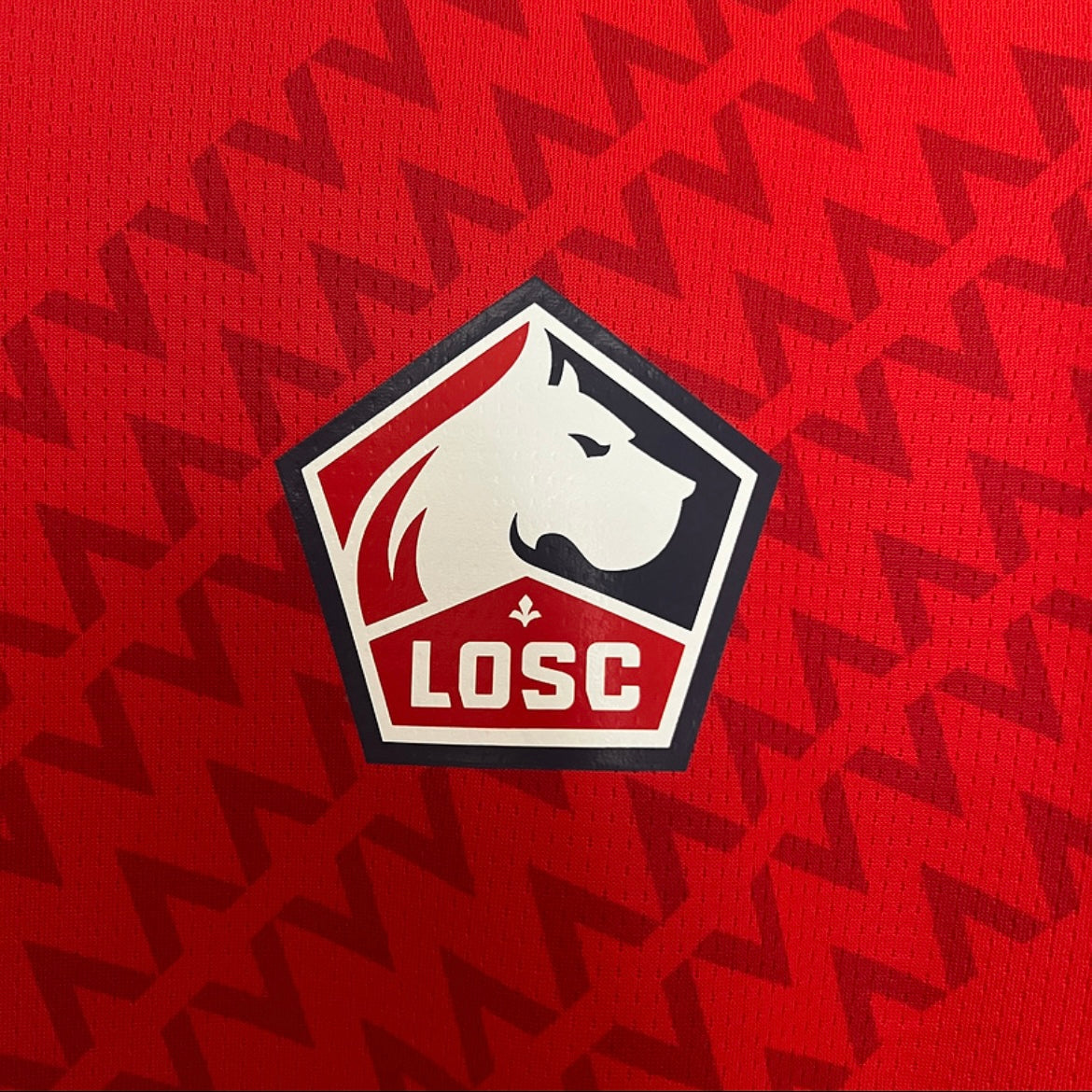 1ª Lille 24/25
