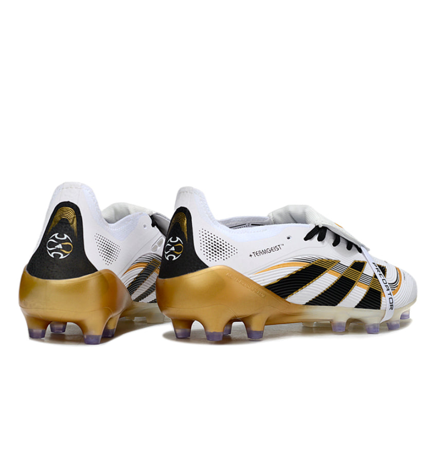 Adidas Predator Accuracy Elite AG