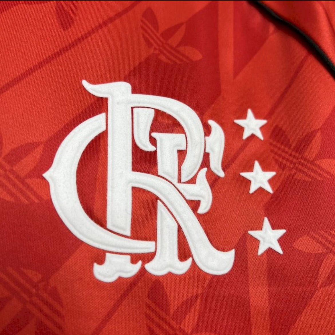 Especial Flamengo 24/25