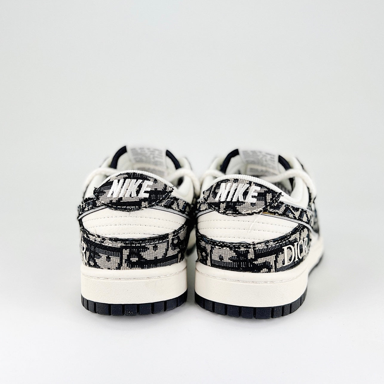 Nike Dunk Low x Dior