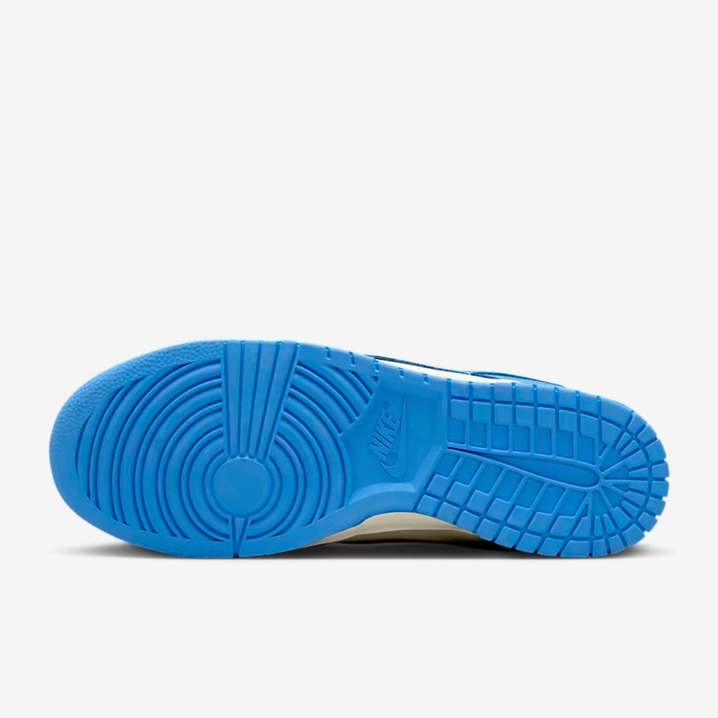 Nike Dunk Low Retro Sneaker